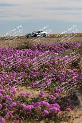 media/Jan-08-2023-SCCA SD (Sun) [[8f6a5b9391]]/Intermediate Group/Session 2 (Short Straight)/